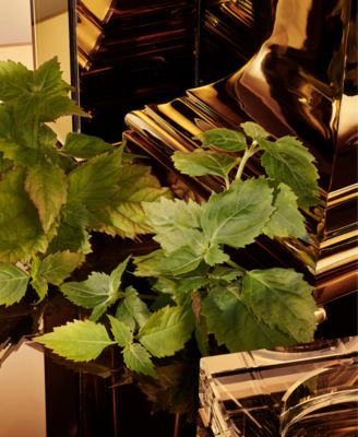 Men's The One Gold Eau de Parfum Intense Spray, 3.3 oz., Created for Macy's