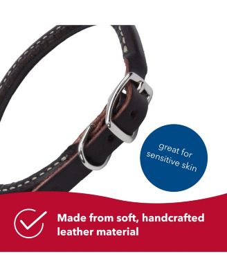 Circle T by Latigo Leather Twist Dog Leash with Brass Hardware (6') & Latigo Leather Round Dog Collar (3/8" x 18")