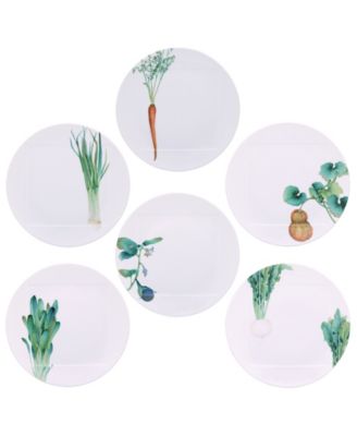 Kyoka Shunsai Set of 6 Assorted Dinner Plates, 10.5"