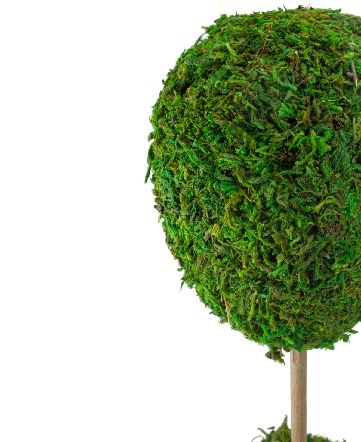 Shop Northlight 14" Reindeer Moss Ball Potted Artificial Spring Topiary Tree In Green