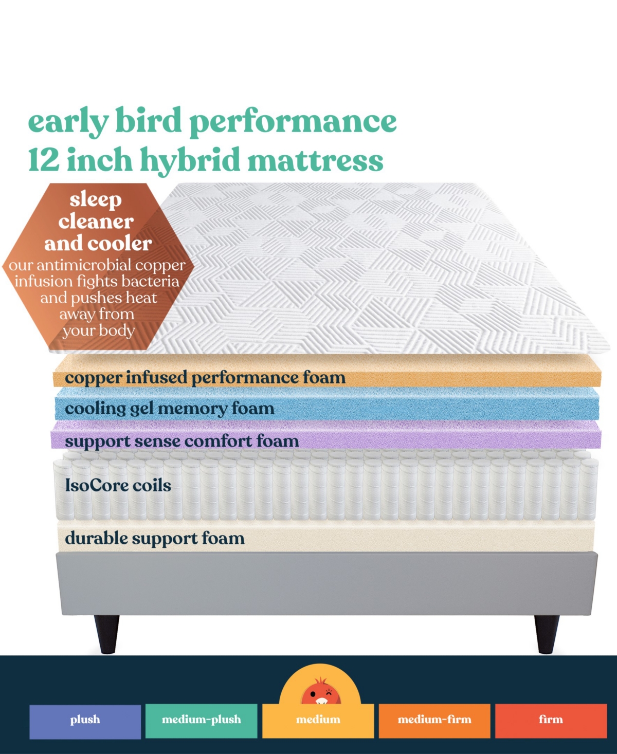 Corsicana Early Bird 12" Medium Mattress In No Color
