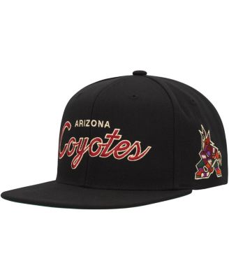 Men's Mitchell & Ness Black Arizona Coyotes Core Team Script 2.0