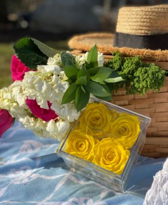 Jewelry box of Bright Yellow Long Lasting Preserved Real Roses, 4 Rose