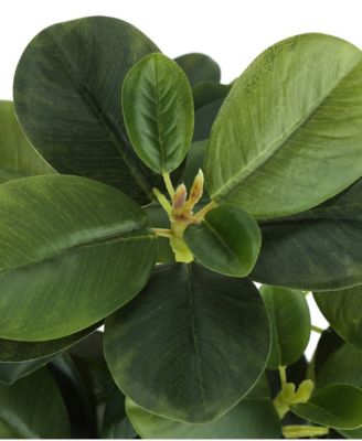 14" Indoor Artificial Ficus Plants with Decorative Black Pots, Set Of 2