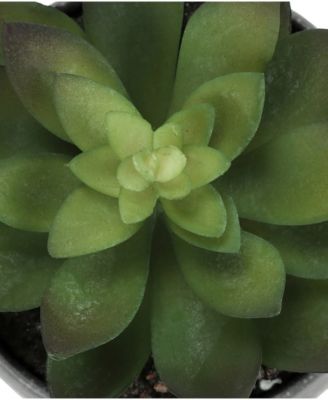 6" Indoor Artificial Succulent Plants with Decorative Grey Cement Pots, Set Of 3