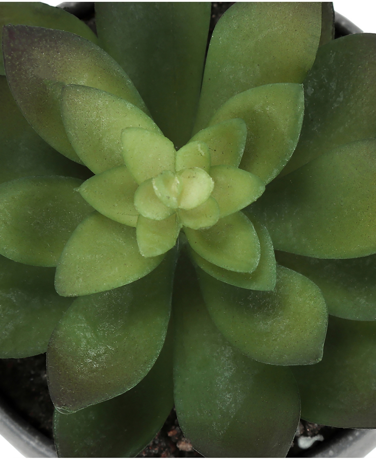 Monarch Specialties 6" Indoor Artificial Succulent Plants With Decorative Grey Cement Pots, Set Of 3 In Green