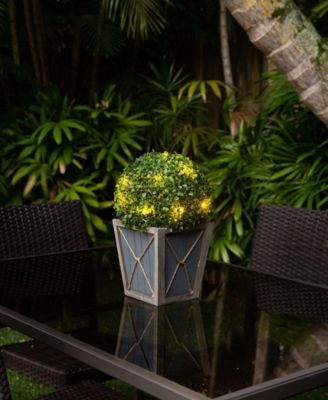 18in. UV Resistant Artificial Boxwood Ball Topiary with LED Lights in Decorative Planter Indoor/Outdoor