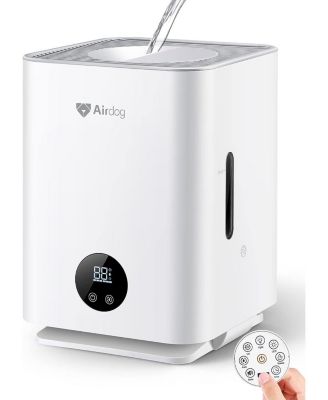 Mist-Free Humidifier