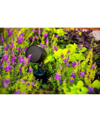 Cherry Bomb 5" 3-way Outdoor In-Ground Speaker with Built-In Subwoofer