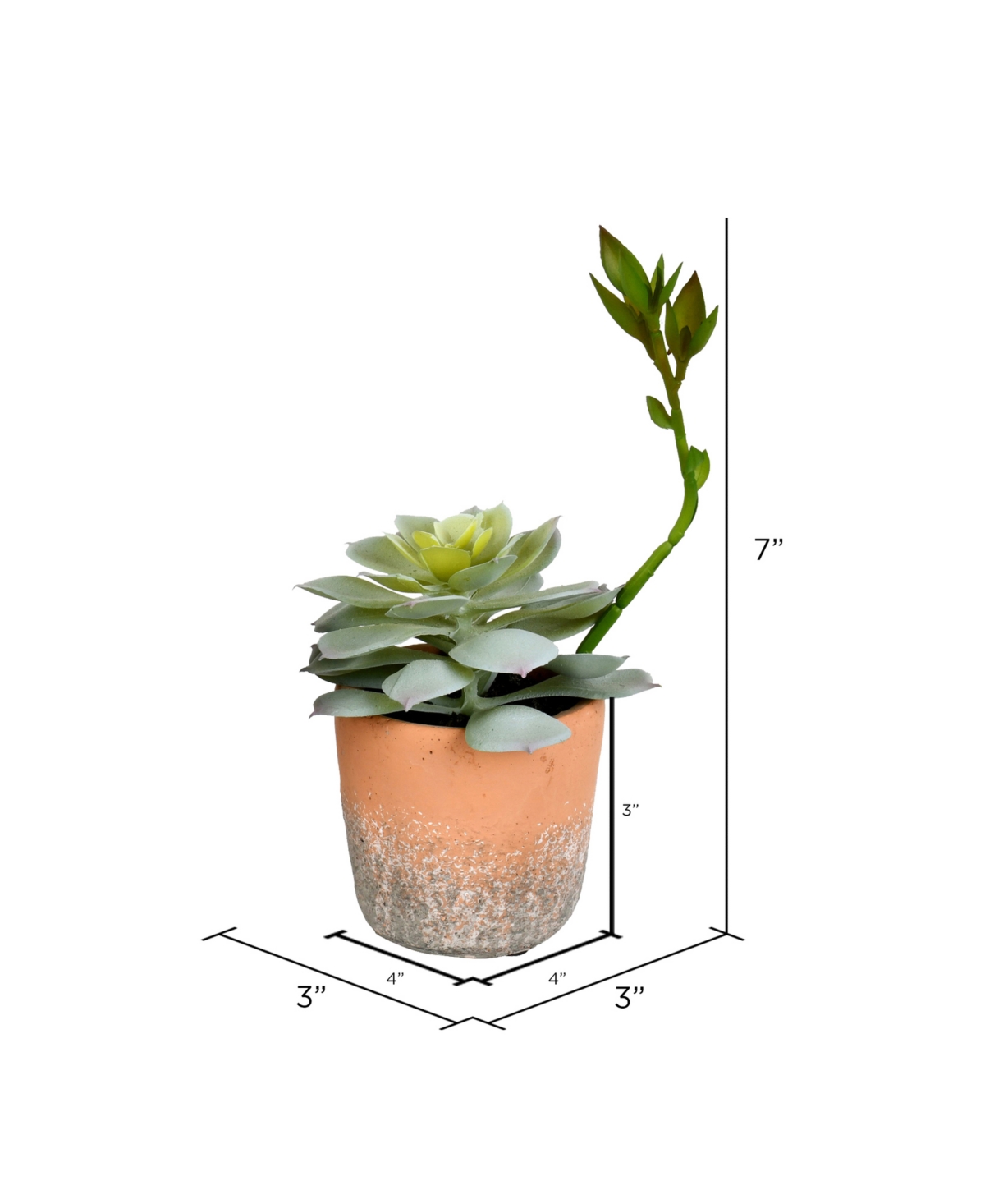 Vickerman Set Of 4 Assorted 7" Artificial Potted Succulents, Set Of 4 In Green