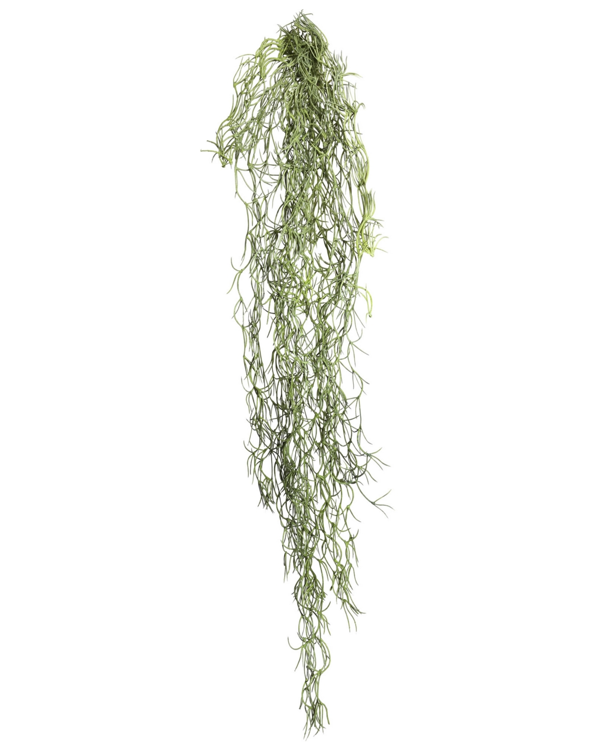 29.5" Artificial Green Tillandsia Root, Set of 3 - Green