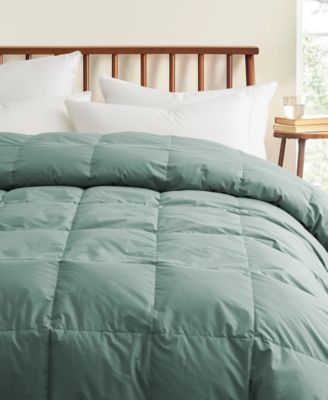 All Season 300 Thread Count Cotton Goose Down Fiber Comforter, California King
