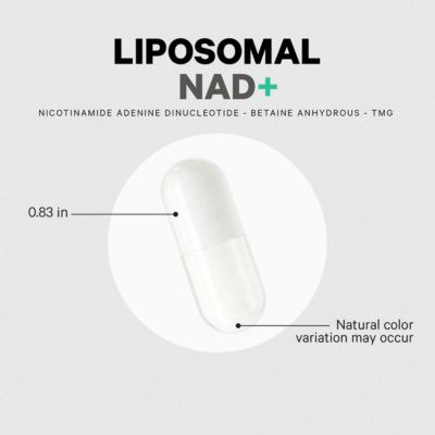 Liposomal NAD+ Supplement - NAD Nicotinamide Adenine Dinucleotide Coenzyme Pills - 500 mg NAD+ Per Serving & Betaine Anhydrous, 60 Capsules