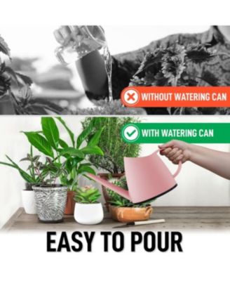 Small Watering Can with Long Slim Spout for Indoor Plants