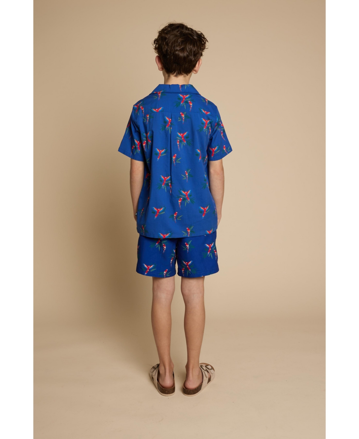 B by Brooks Brothers Big Boys Parrot Print Woven Short Sleeve Shirt