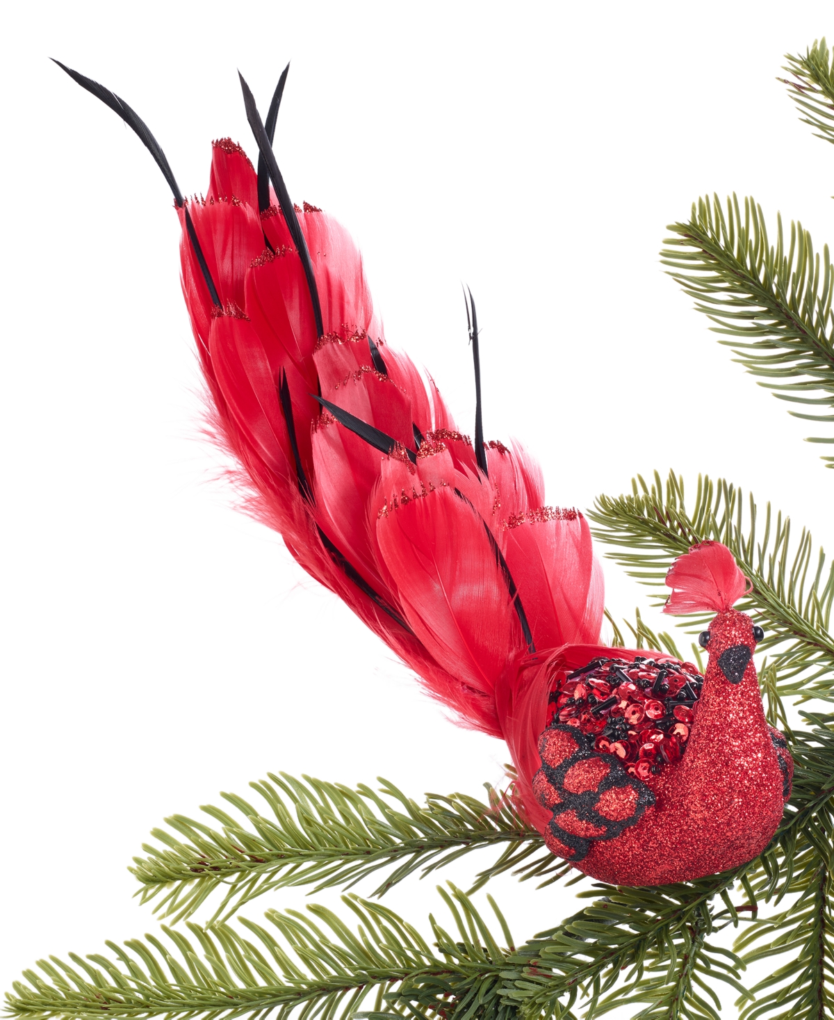 Holiday Lane Royal Holiday Red Peacock With Feather Ornament, Exclusively At Macy's In No Color