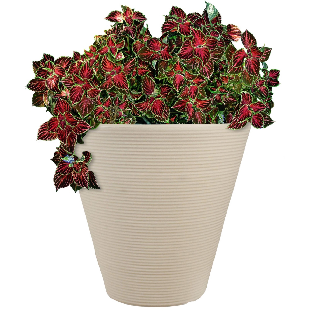 Sunnydaze Decor Walter Polyresin Planter with Uv-Resistance - Beige