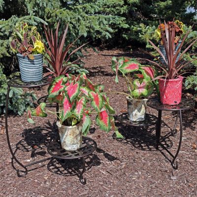 Indoor/Outdoor Steel Decorative Checker Top 3-Tiered Flower Plant Stand Display - Bronze - 2pk