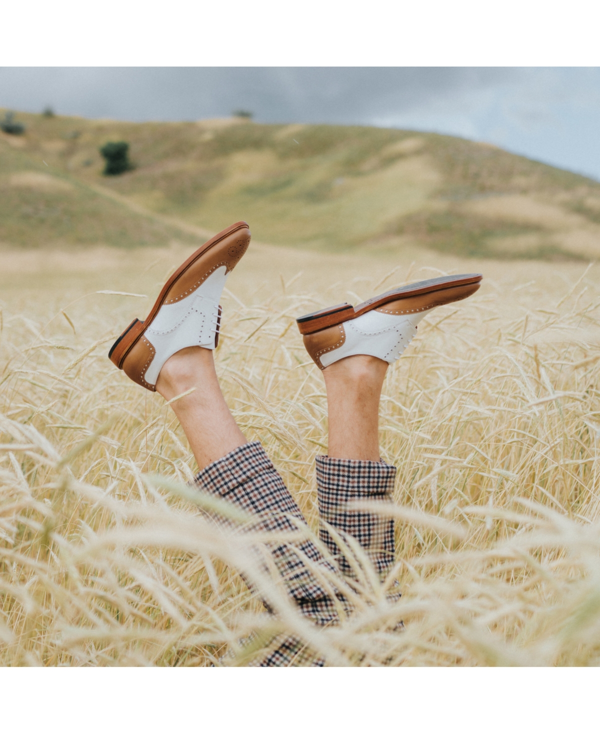 Taft Men's Spectator Handcrafted Leather Brogue Wingtip Oxford Lace-up Dress Shoe