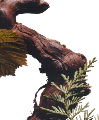 2-Pc. Cypress and Grapevine Cologne Intense Gift Set