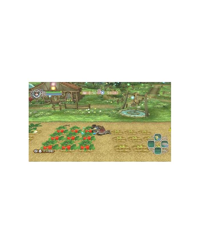 XSEED Games Rune Factory Frontier Nintendo Wii Macy's