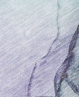 Chantille Machine Washable ACN502 9'x12' Area Rug