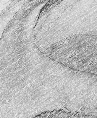 Chantille Machine Washable ACN504 9'x12' Area Rug