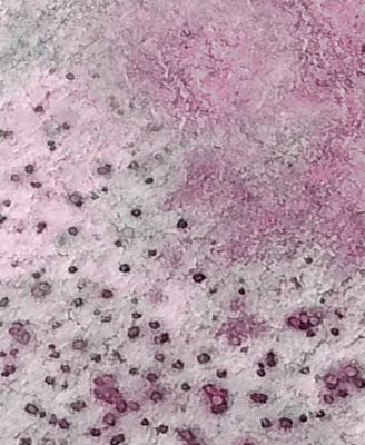 Chantille Machine Washable ACN505 2'6x3'10 Area Rug