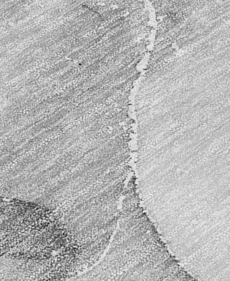 Chantille Machine Washable ACN521 9'x12' Area Rug