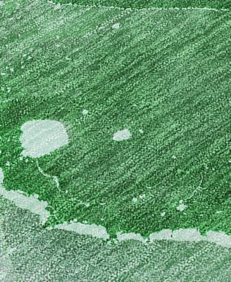 Chantille Machine Washable ACN522 3'x5' Area Rug