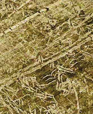 Chantille Machine Washable ACN559 8'x10' Area Rug