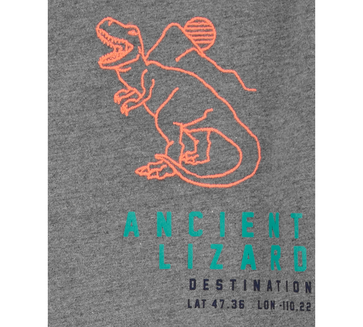 Carter's Little Boys and Big Boys Dinosaur T-Shirt