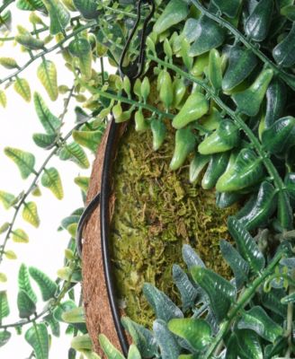 21 Fern Leaves Hanging Basket