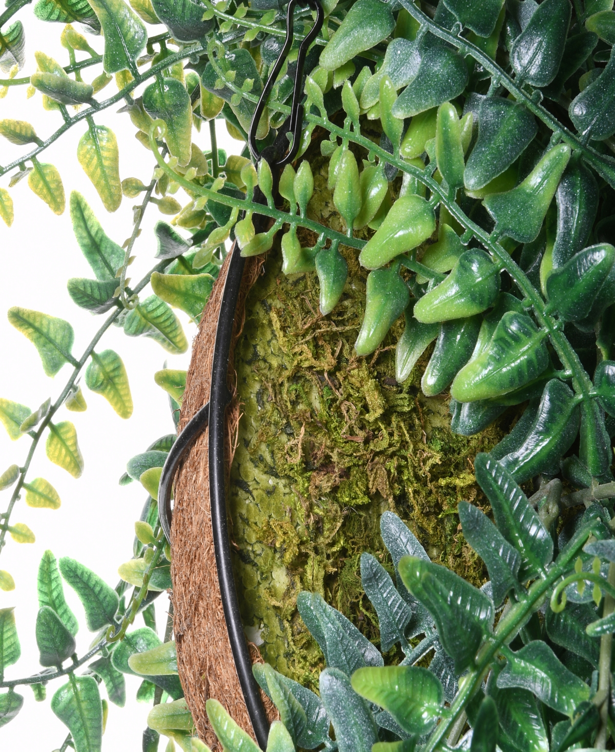 National Tree Company 21 Fern Leaves Hanging Basket
