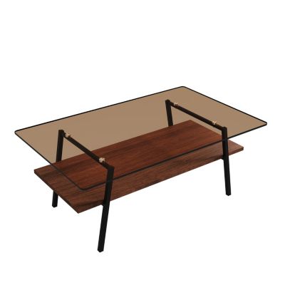 Modern Brown Glass Coffee Table