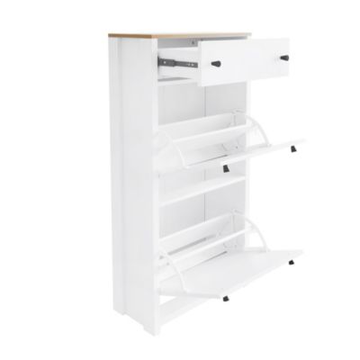 Modern Shoe Cabinet with 4 Flip Drawers