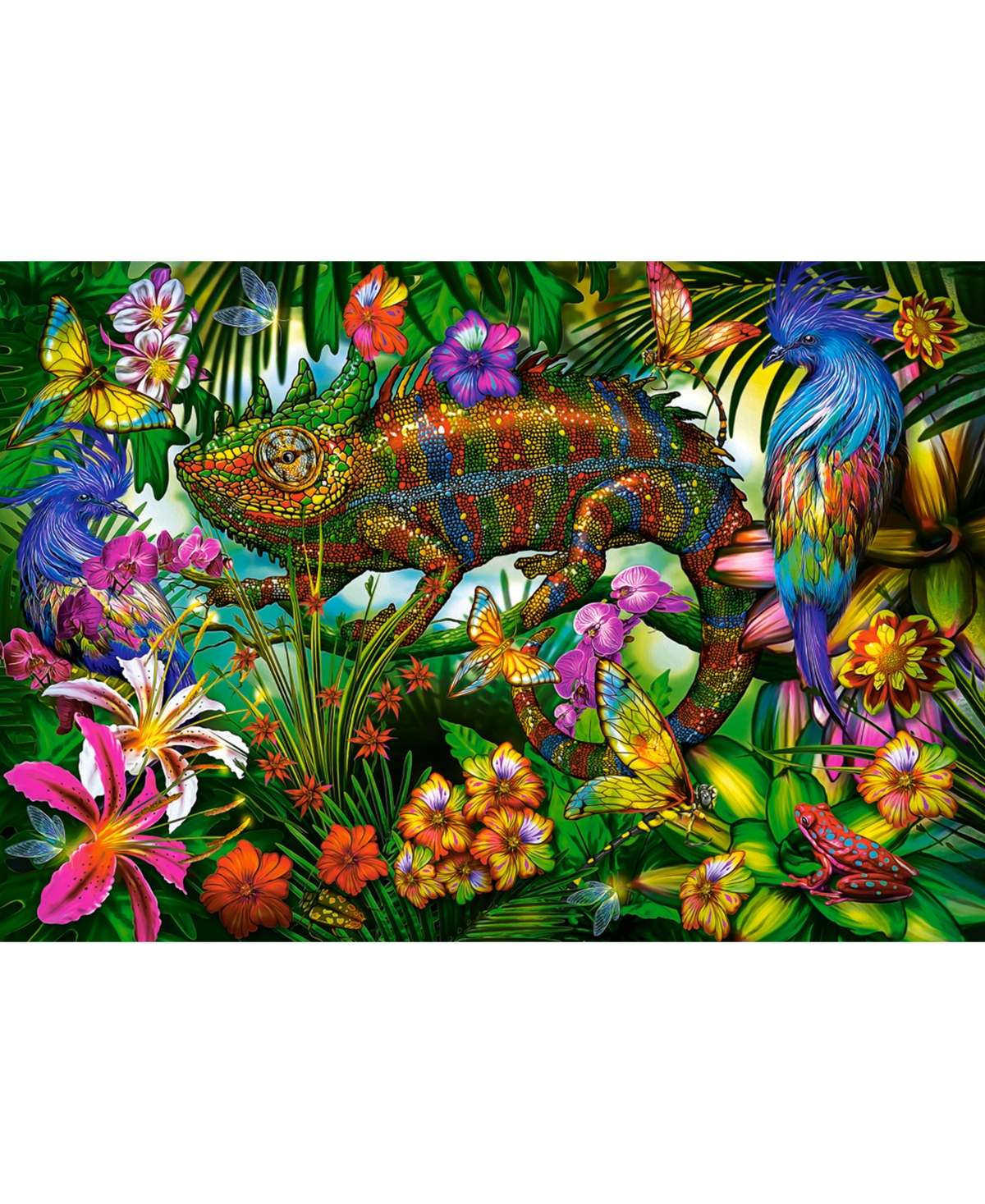 CASTORLAND COLOR COMPETITION 1500 PIECE JIGSAW PUZZLE 
