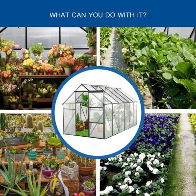 All-Season Heavy Duty 6x12 FT Greenhouse With Aluminum Base