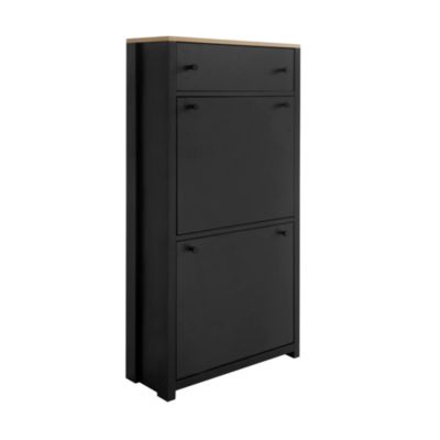 Modern Black Shoe Cabinet with 4 Flip Drawers