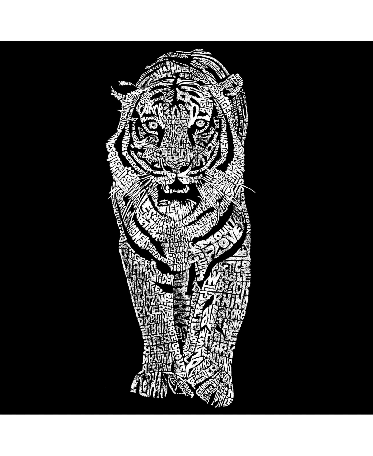 La Pop Art Boys Word Art T-shirt - Tiger
