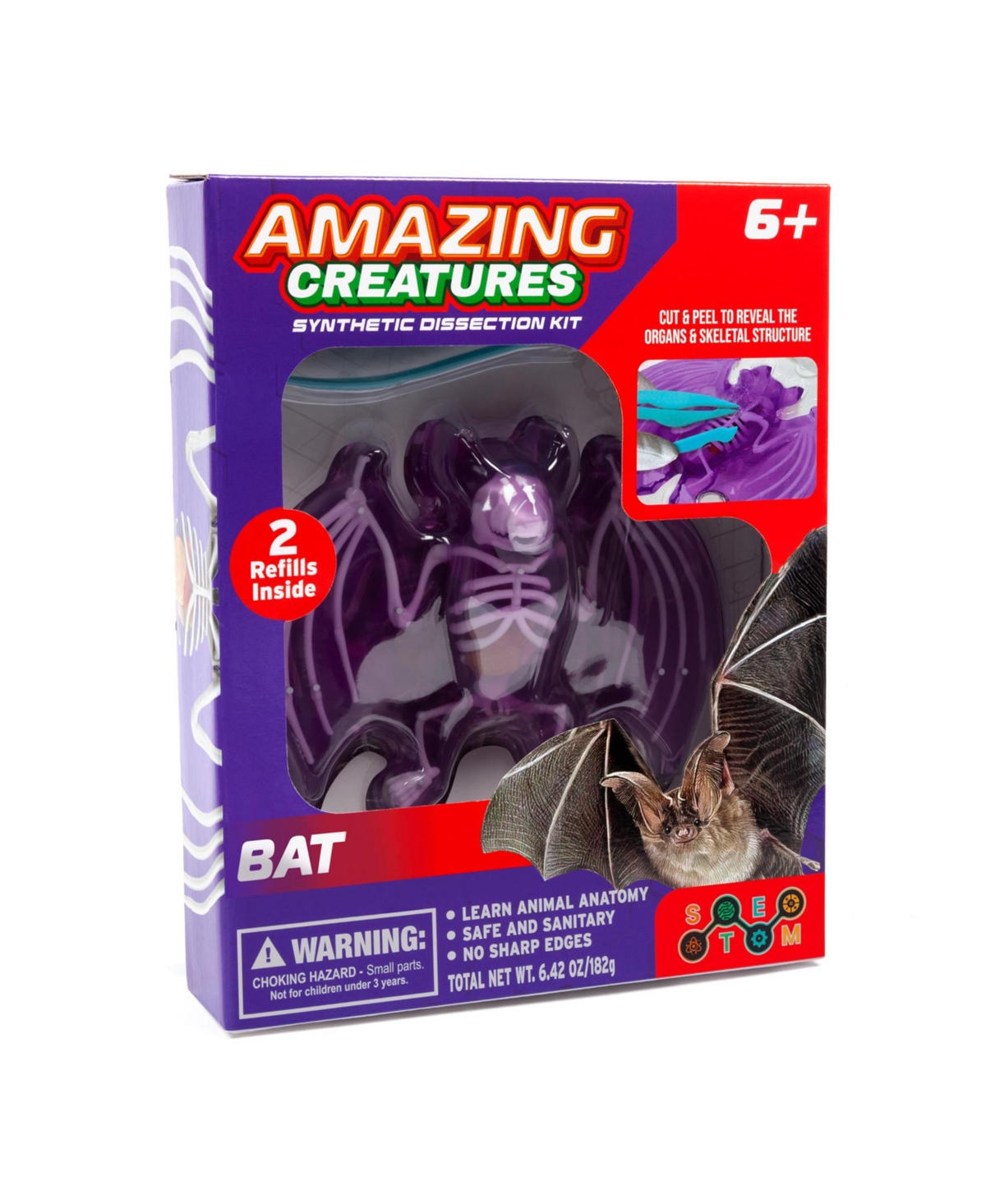 World Tech Toys Amazing Creatures Synthetic Dissection Kit In Multi