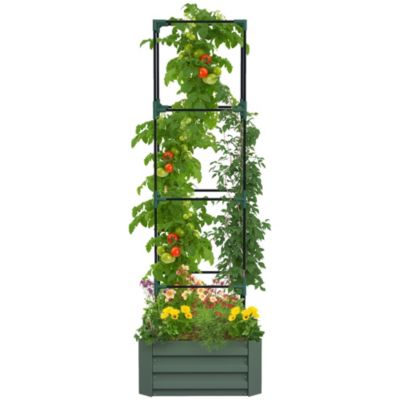 Galvanized Raised Garden Bed Tomato Cage