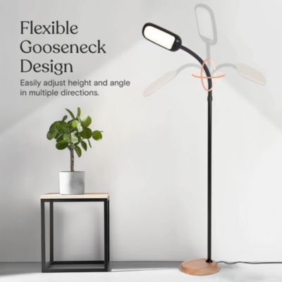 Litespan 53" Dimmable LED Reading Task Lamp with Height Adjustable Gooseneck