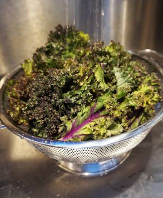 Endurance Precision Pierced Stainless Steel 3 Quart Colander