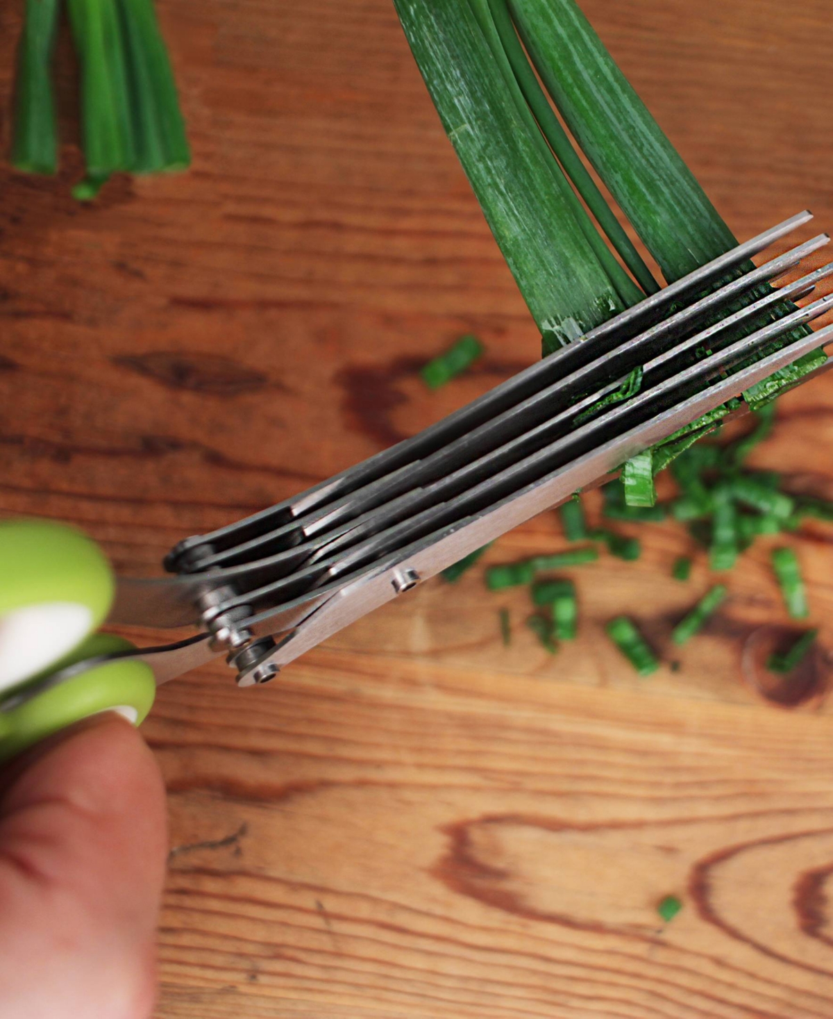 Rsvp International Stainless Steel Plastic 8x3" Kitchen Helpers Herb Scissors In Green