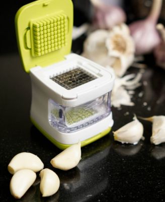 5 Piece Plastic and Stainless Steel 2.8x2.8" Garlic Cube
