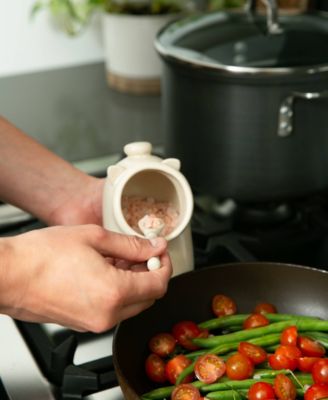 Stoneware 2 Piece 6 Ounce Matte Oat Salt Pig and Spoon Set