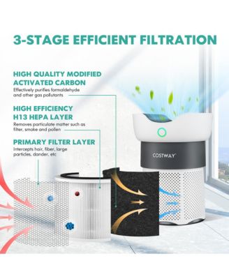 H13 True HEPA Air Purifier with 3-Stage Filtration for Home or Office, Covers Up to 1300 Sq Ft