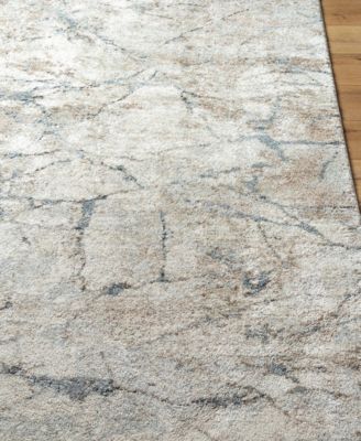 Avellino 529631 5'3"x7' Area Rug