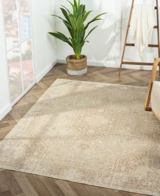 Anna ARI-421 7'10"x9'10" Area Rug